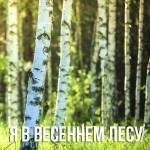 Из Фильмов - Я в весеннем лесу